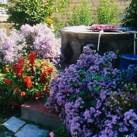 House On Ashiq Cuma Street 8 Bed & Breakfast Şǝki Екстериор снимка