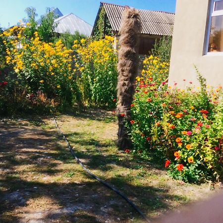 House On Ashiq Cuma Street 8 Bed & Breakfast Şǝki Екстериор снимка