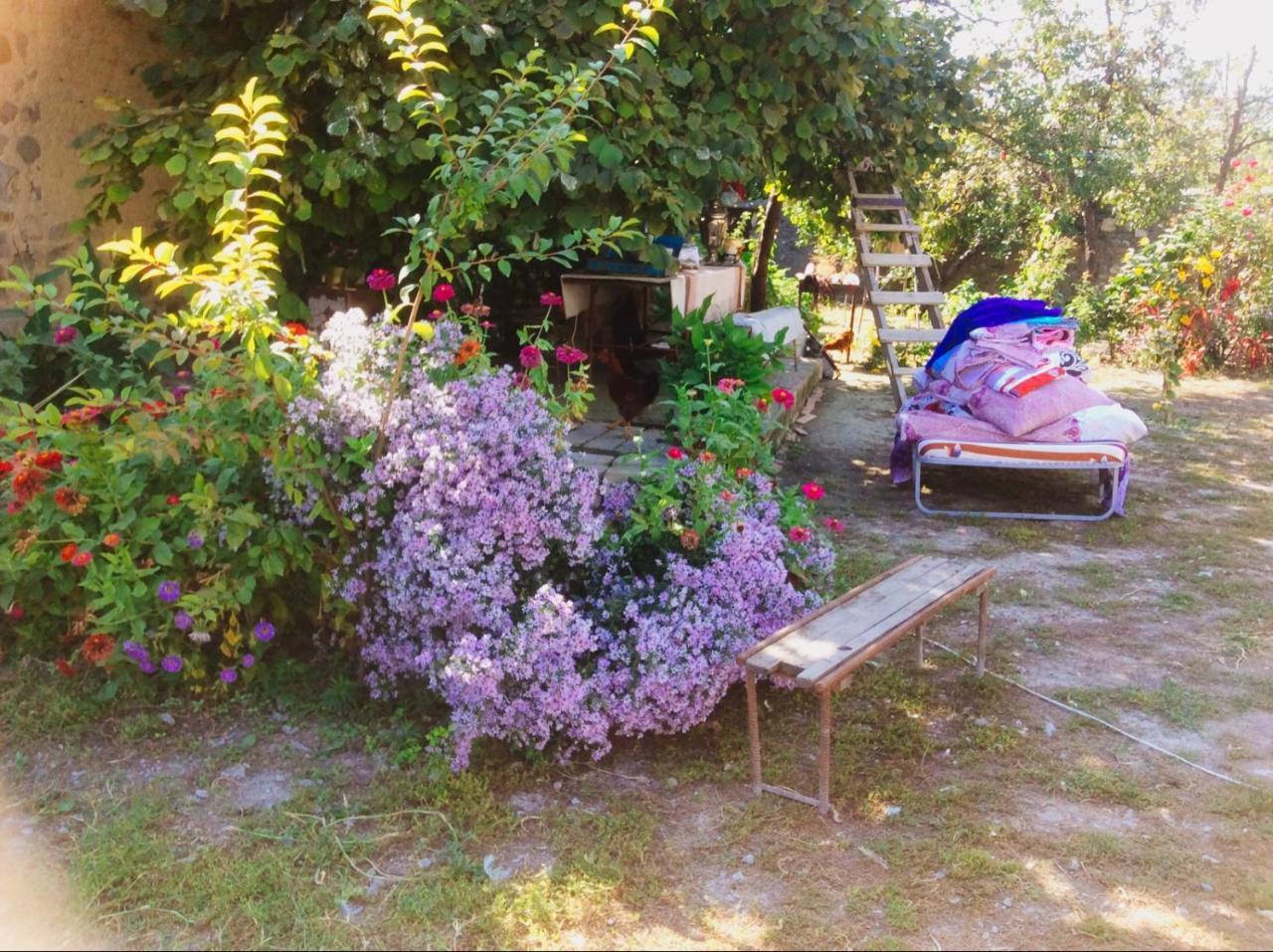 House On Ashiq Cuma Street 8 Bed & Breakfast Şǝki Екстериор снимка