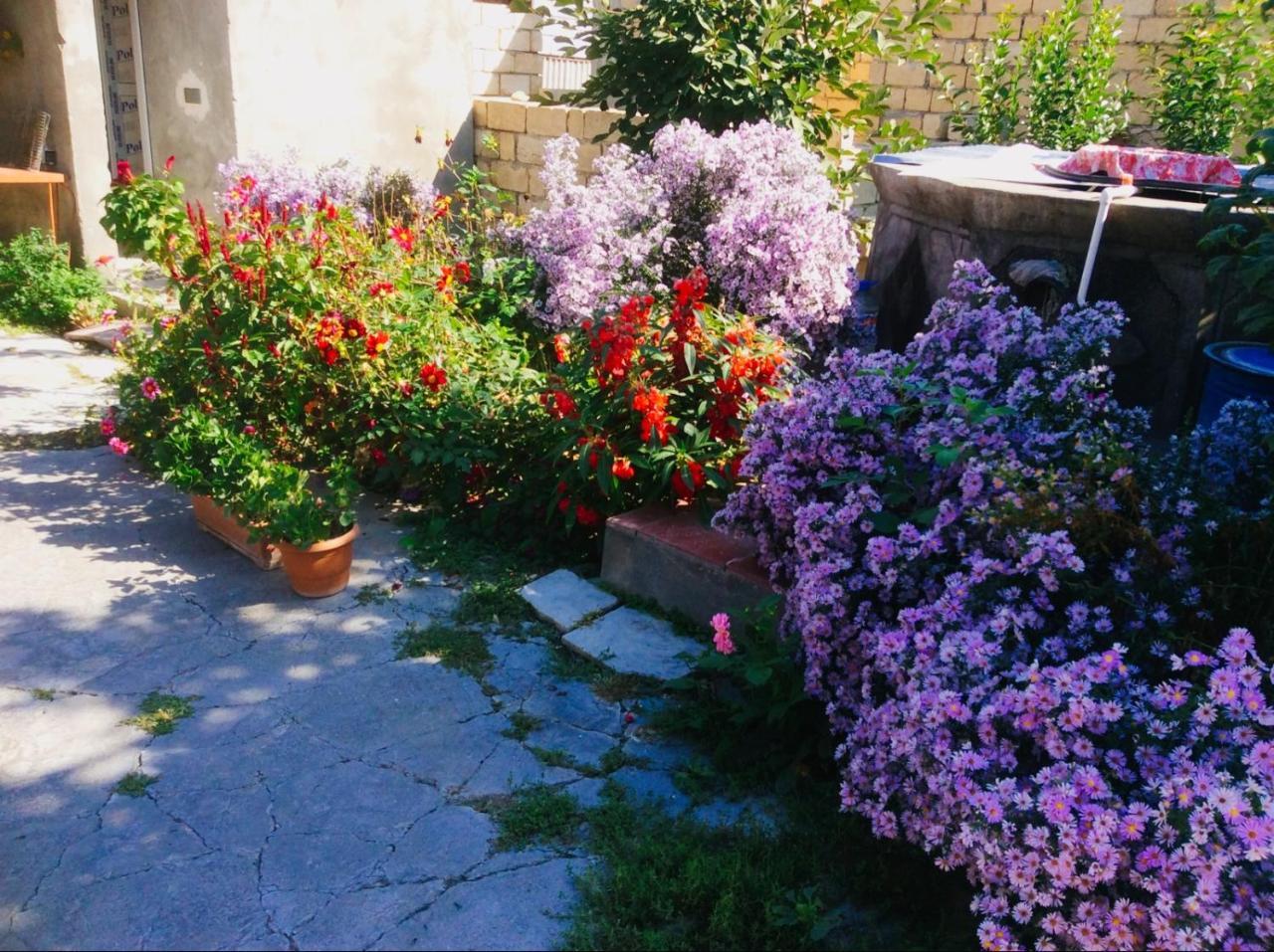 House On Ashiq Cuma Street 8 Bed & Breakfast Şǝki Екстериор снимка